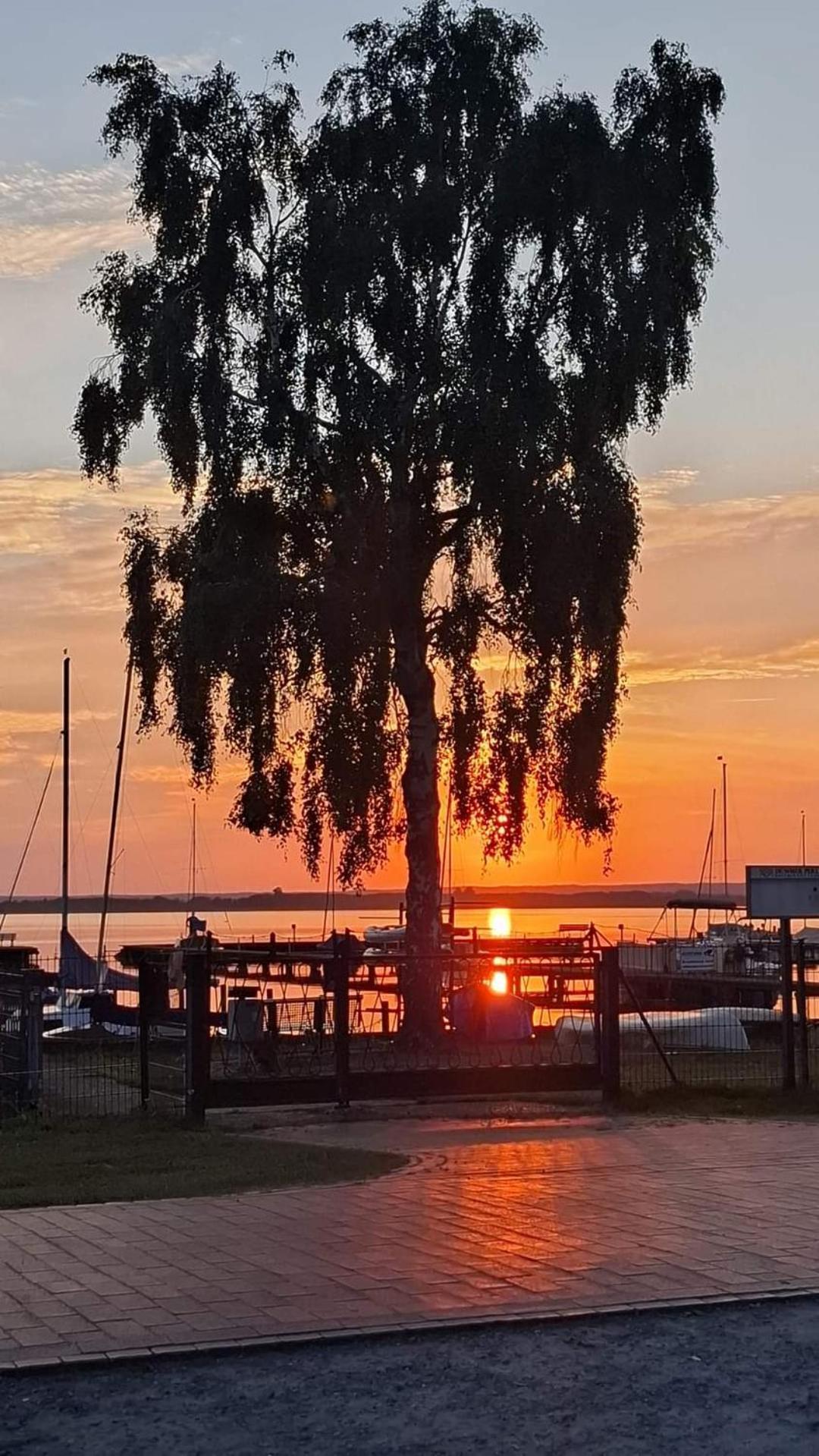 Seeliebe, 300 Meter Zum Wasser, Mit Terrasse Und Garten Lembruch Eksteriør bilde