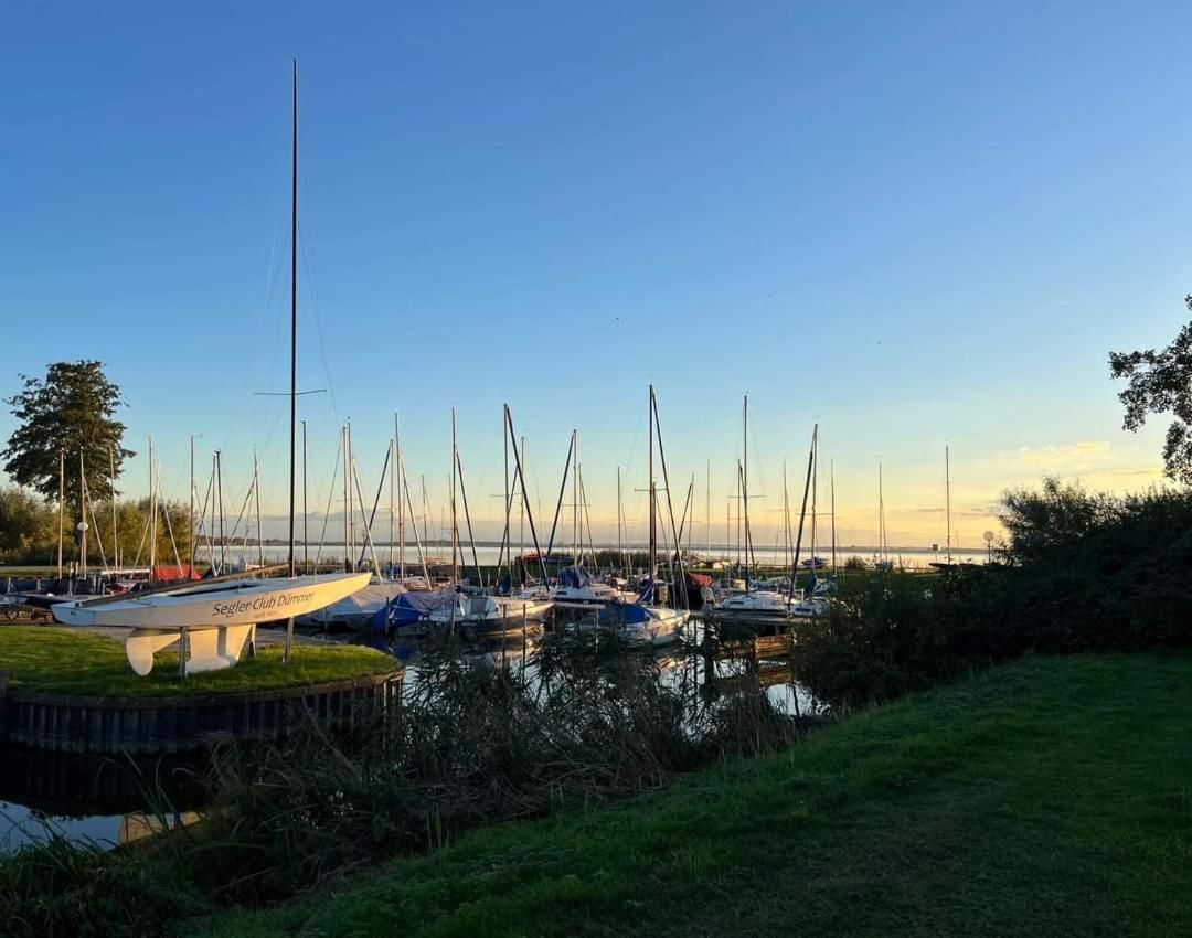 Seeliebe, 300 Meter Zum Wasser, Mit Terrasse Und Garten Lembruch Eksteriør bilde