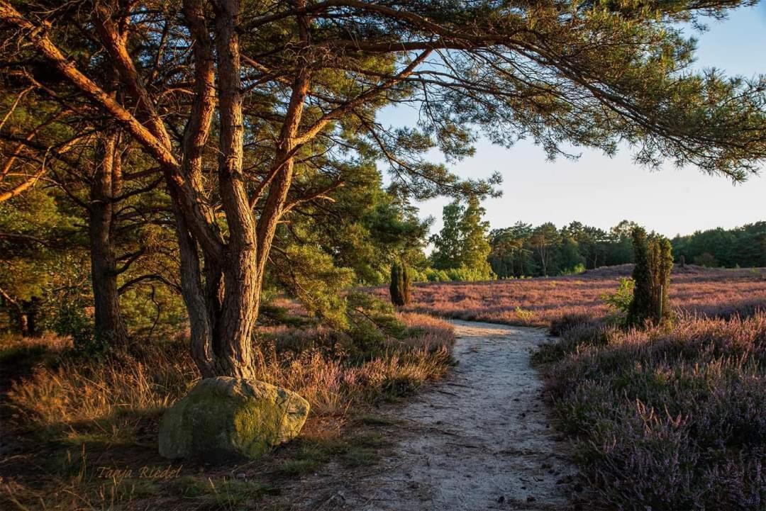 Seeliebe, 300 Meter Zum Wasser, Mit Terrasse Und Garten Lembruch Eksteriør bilde