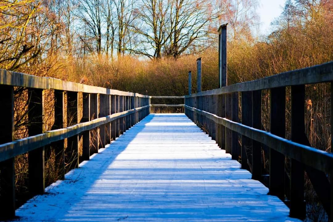Seeliebe, 300 Meter Zum Wasser, Mit Terrasse Und Garten Lembruch Eksteriør bilde