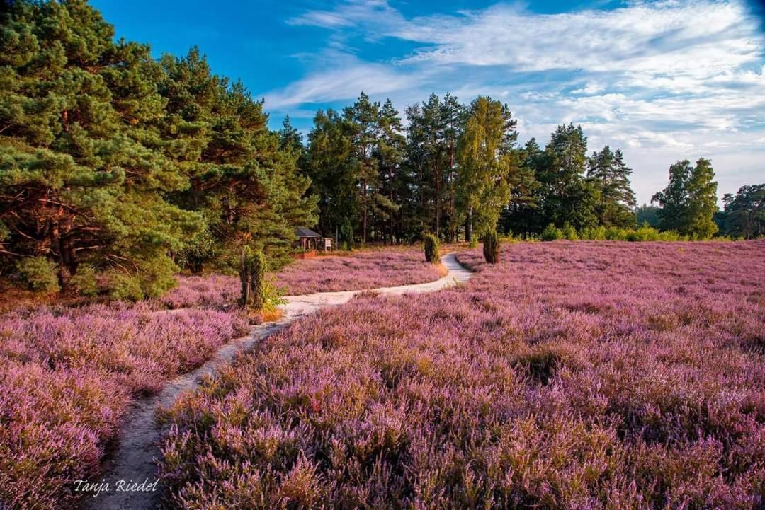 Seeliebe, 300 Meter Zum Wasser, Mit Terrasse Und Garten Lembruch Eksteriør bilde