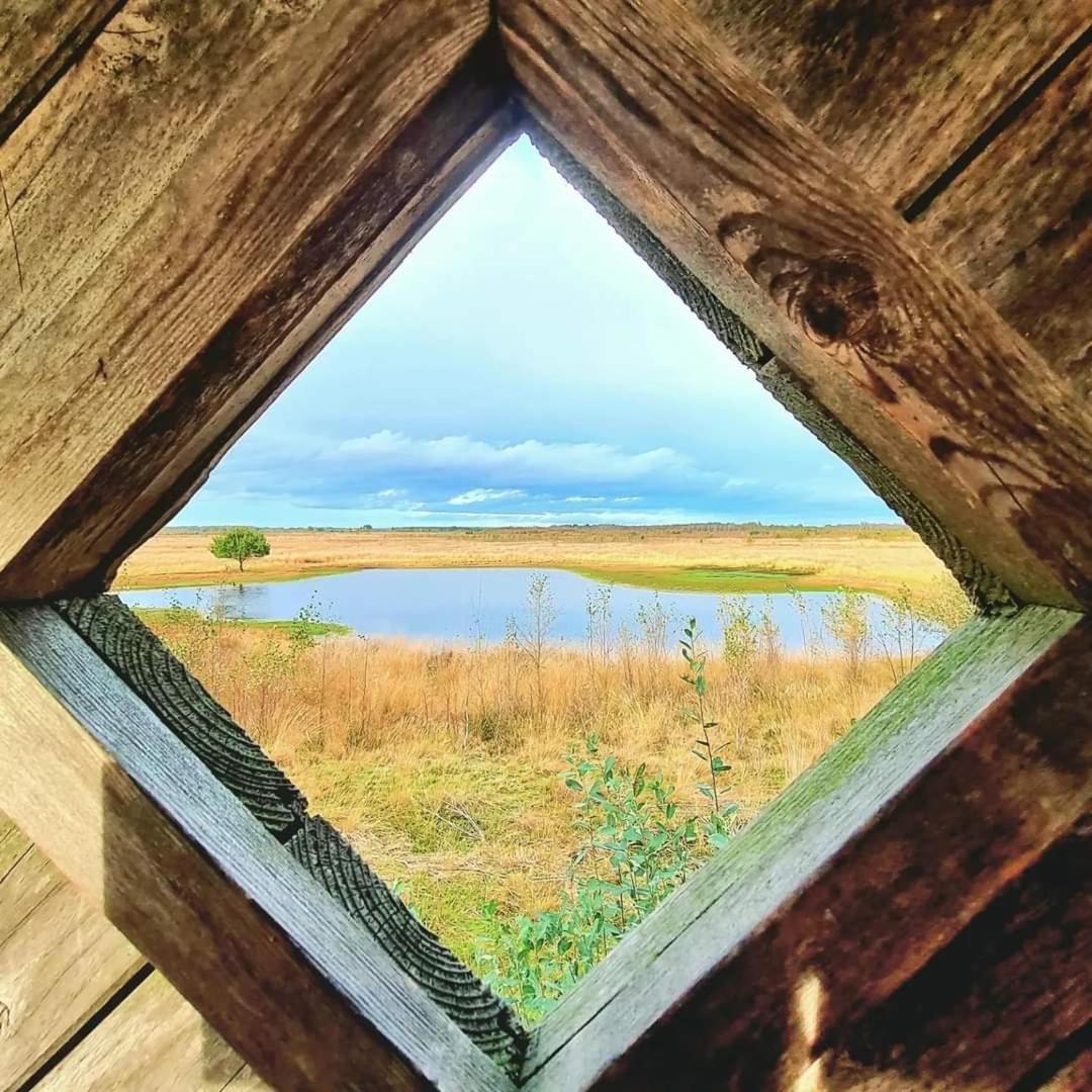 Seeliebe, 300 Meter Zum Wasser, Mit Terrasse Und Garten Lembruch Eksteriør bilde