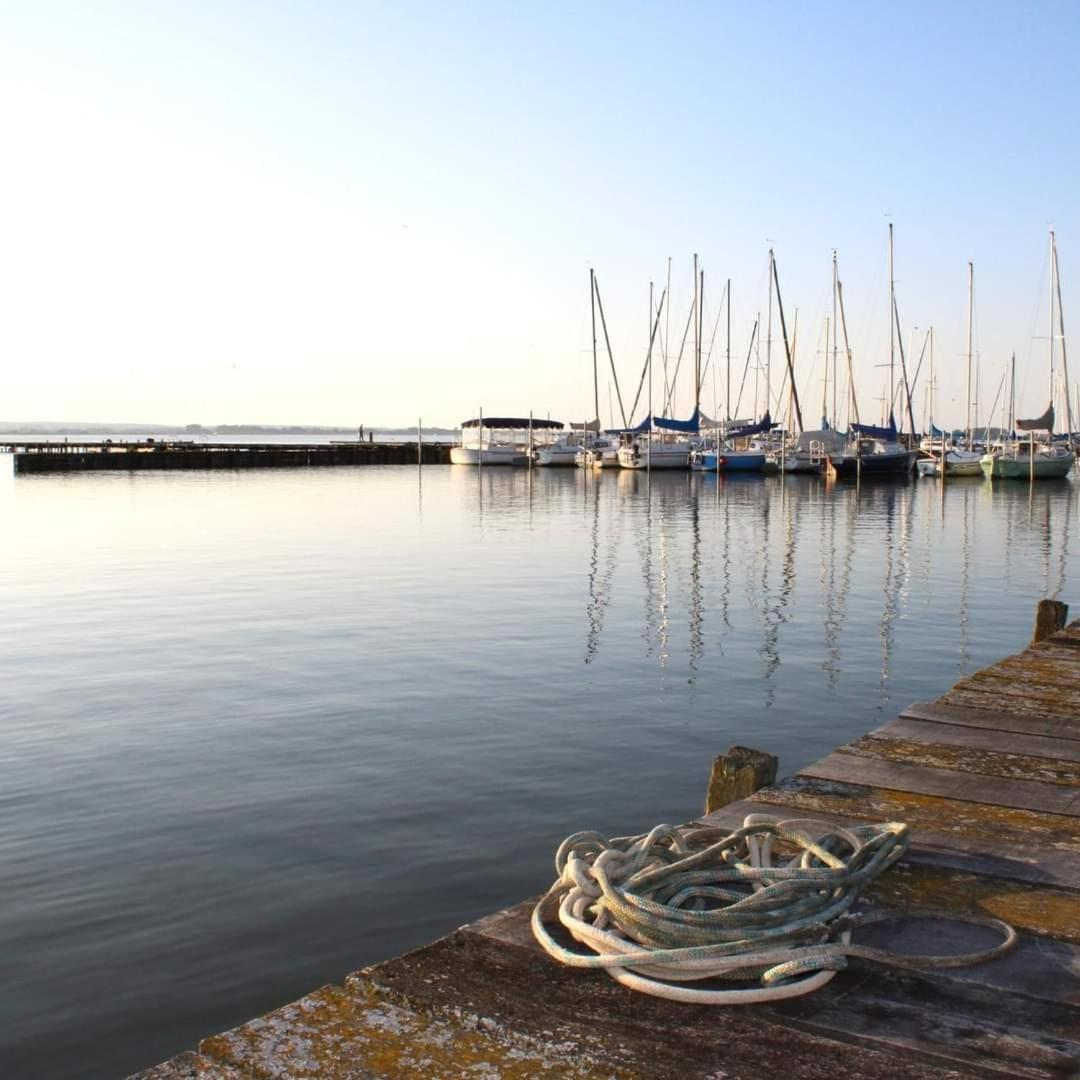Seeliebe, 300 Meter Zum Wasser, Mit Terrasse Und Garten Lembruch Eksteriør bilde