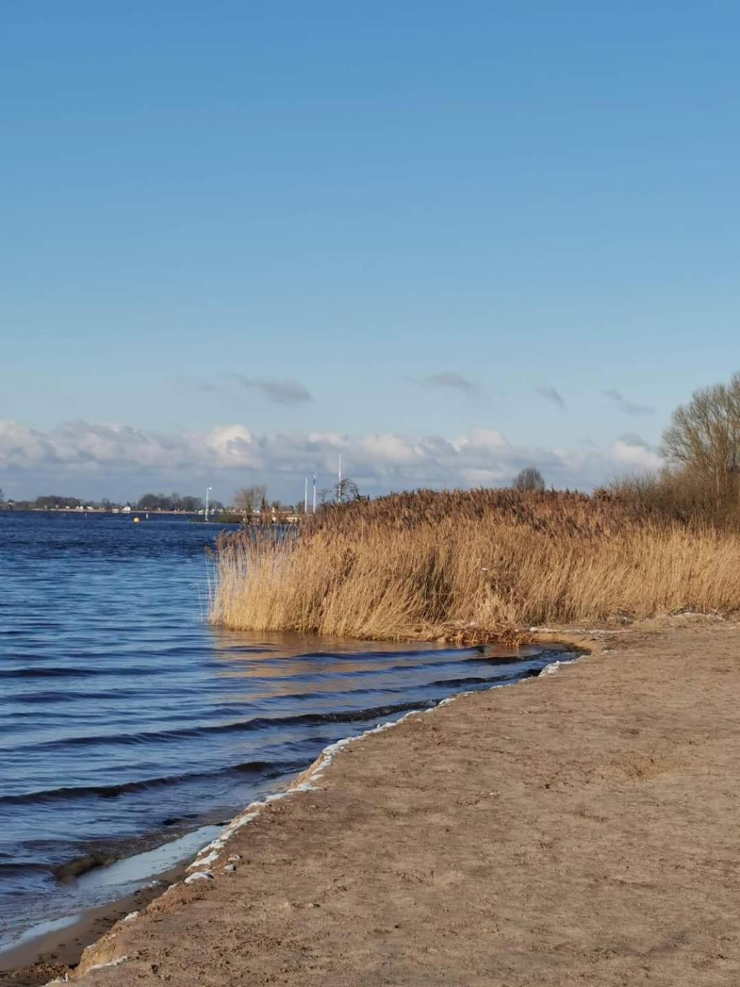 Seeliebe, 300 Meter Zum Wasser, Mit Terrasse Und Garten Lembruch Eksteriør bilde